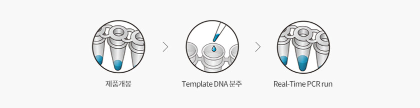 제품개봉 → Template DNA 분주 → Real-Time PCR run